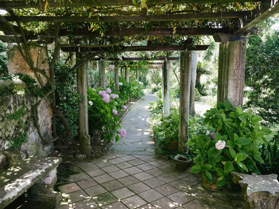 a garden with a stone walkway surrounded by greenery